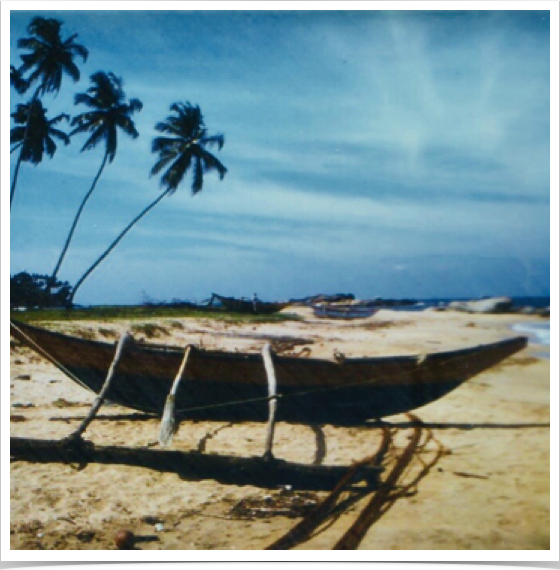 Outrigger boats and dugout canoes are coming fishing boats used for nearshore and offshore fishing. 